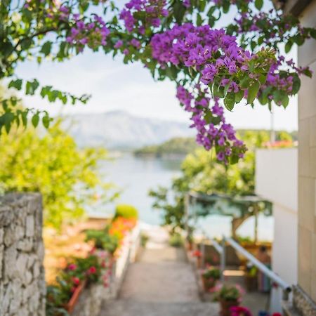 Apartments By The Sea Lumbarda, Korcula - 4446 מראה חיצוני תמונה
